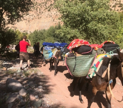 Atlas Trekking Morocco